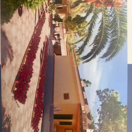 Zeus Apartament